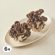 친환경인증 참타리버섯, 300g, 6개