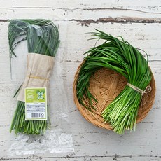 곰곰 부추, 300g, 1개