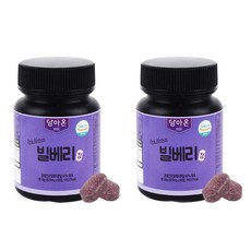 담아온약초 빌베리 정, 60정, 2개