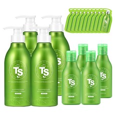 TS 뉴프리미엄 탈모증상완화 샴푸 500g x 2P + 100g x 2P + 6g x 5P 세트, 2개
