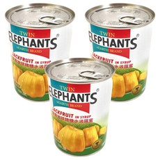 TWIN ELEPHANTS 雙象地球牌 糖水波羅蜜 無添加防腐劑, 565g, 3罐