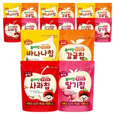 퓨어잇 동결건조 과일칩 4종 세트, 12g, 4세트