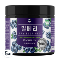 해나식품 유기농 동결건조 와일드 빌베리 분말, 100g, 5개