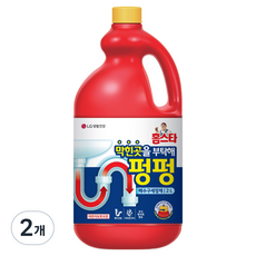 홈스타 막힌곳을 부탁해 펑펑 배수구 세정제, 2L, 2개 2L, 2개