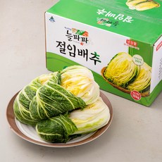 늘파파 절임배추, 10kg
