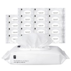 생활공작소 베이직 비데티슈 캡형, 70g, 60매입, 20개