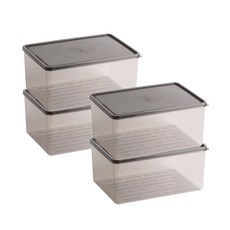 비트리 부드럽게 휘어지는 점보 대용량 냉동실정리용기 3.8L, 1개, 4개