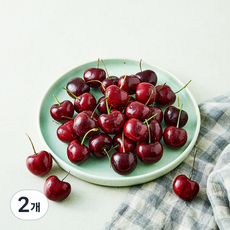 만나다 캐나다산 점보 체리, 2개, 300g