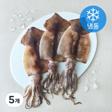 비비수산 손질 간편한 오징어 (냉동), 5개, 480g