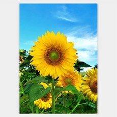 inpicture 向日葵畫 直式07