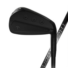 Black Tea 男用許碩Pro The Carbon鐵桿 T-10 8號 霧面黑, 34度, SR