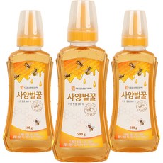 대웅 사양벌꿀, 500g, 3개