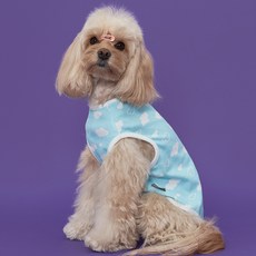 DOG-i 狗狗服飾 雲朵T恤, 藍色