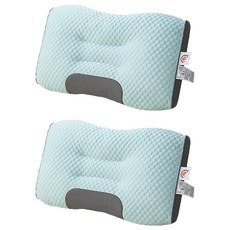 MINT그린 기능성 베개, 혼합색상, 2개