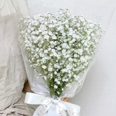 코코도르팜 생화 안개 꽃다발, 화이트