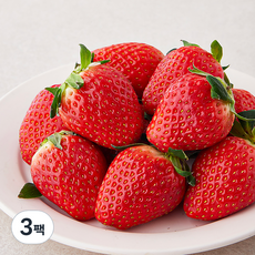 다미팜 한단 설향딸기 대과, 500g, 3팩