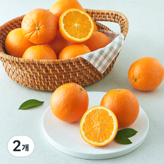 곰곰 미국산 네이블오렌지, 4kg(중대과), 2개