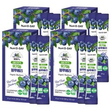 뉴트리디데이 리얼 100% NFC 착즙 유기농 블루베리 스틱, 280g, 4개