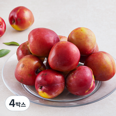 아주마 저탄소 인증 산지직송 영동 후무사 자두, 1kg(대), 4박스