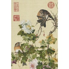 TAIWANG 台旺文創 清郎世寧 仙萼長春-菊花, 1入