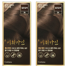 비취가인 윤기모 크림염색 염모제 새치커버용, 짙은갈색, 2개