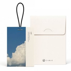 HANAFILTER Cabje 香氛袋 車用芳香劑, 1個, 純白