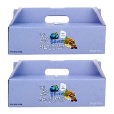 잇츠리얼넛츠 블루베리 요거트 25p, 500g, 2개