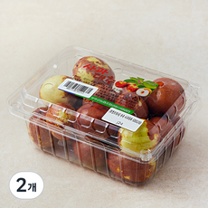 무주 사과 대추 대, 2개, 500g