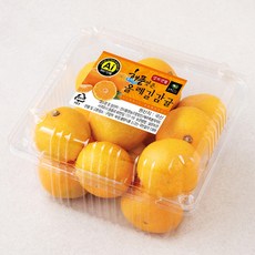 올레길 AI 당도선별 11brix 감귤 로열과, 800g, 1개