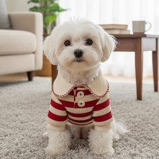 쁘띠도그 강아지 스티치 카라티, 레드, 1개