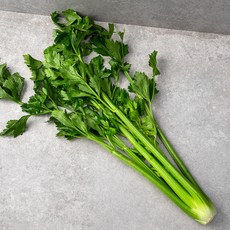 GAP 통셀러리, 500g, 1개