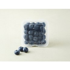 곰곰 유기농 블루베리 왕특, 1개, 100g