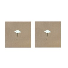 無黏著劑布料方形墊 2張, 19 銀杏樹 米駝色