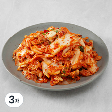 부자가김치 마늘겉절이, 2kg, 3개