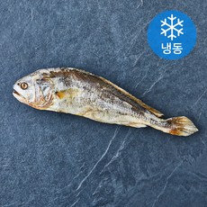 초록바다영어조합법인 영광 법성포 부세 보리굴비 (냉동), 1개, 150g 내외(대 28~30cm)