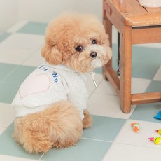 PETSLAND 狗狗雪花愛心刷毛連帽T恤, 1個, 淺灰色