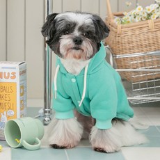 PETSLAND 狗狗雪花愛心刷毛連帽T恤, 1個, 粉彩綠