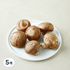 유기농 표고버섯, 150g, 5개