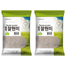대구농산 건강한밥상 발아찰현미, 1kg, 2개