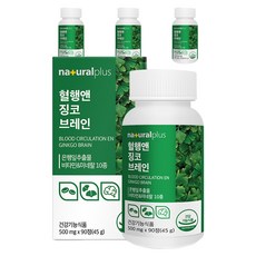 내츄럴플러스 혈행엔 징코 브레인 45g, 90정, 4개
