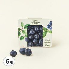 유레카 블루베리(국내산), 100g, 6개