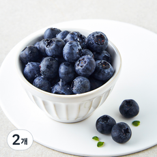 칠레산 H&B 블루베리, 2개, 125g