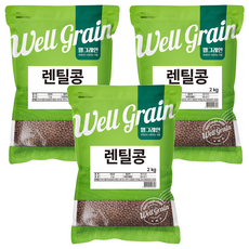 웰그레인 렌틸콩, 2kg, 3개