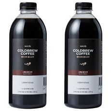 웨이크비 스페셜 콜드브루 원액 액상 더치 커피, 2개, 1개입, 1L