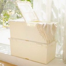 라이피스트 트레인 언더베드 리빙박스, 아이보리, 2개