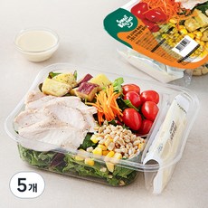 스윗밸런스 구운고구마와 촉촉한 그릴드 닭가슴살 샐러드, 300g, 5개