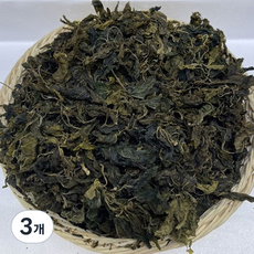 뭉글 건뽕잎순, 100g, 3개