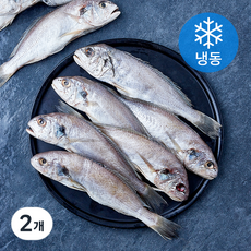 국내산 백조기 엮걸이 10미 (냉동), 2개, 1.1kg