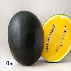 산지직송 드림팜 망고수박, 3kg 이상, 4개