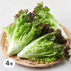 친환경 포기상추, 250g, 4개